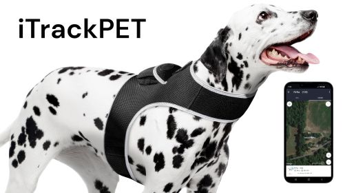 Realtime GSM GPS Quick Track Collar Pet Tag Waterproof Tracking Device Size:M