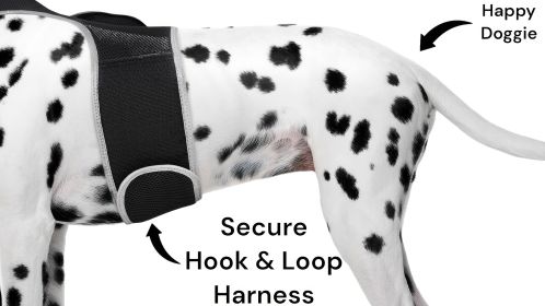 NEW GPS Dog Collar High Rated Reviews Realtime Waterproof Pet Tracker Size:L